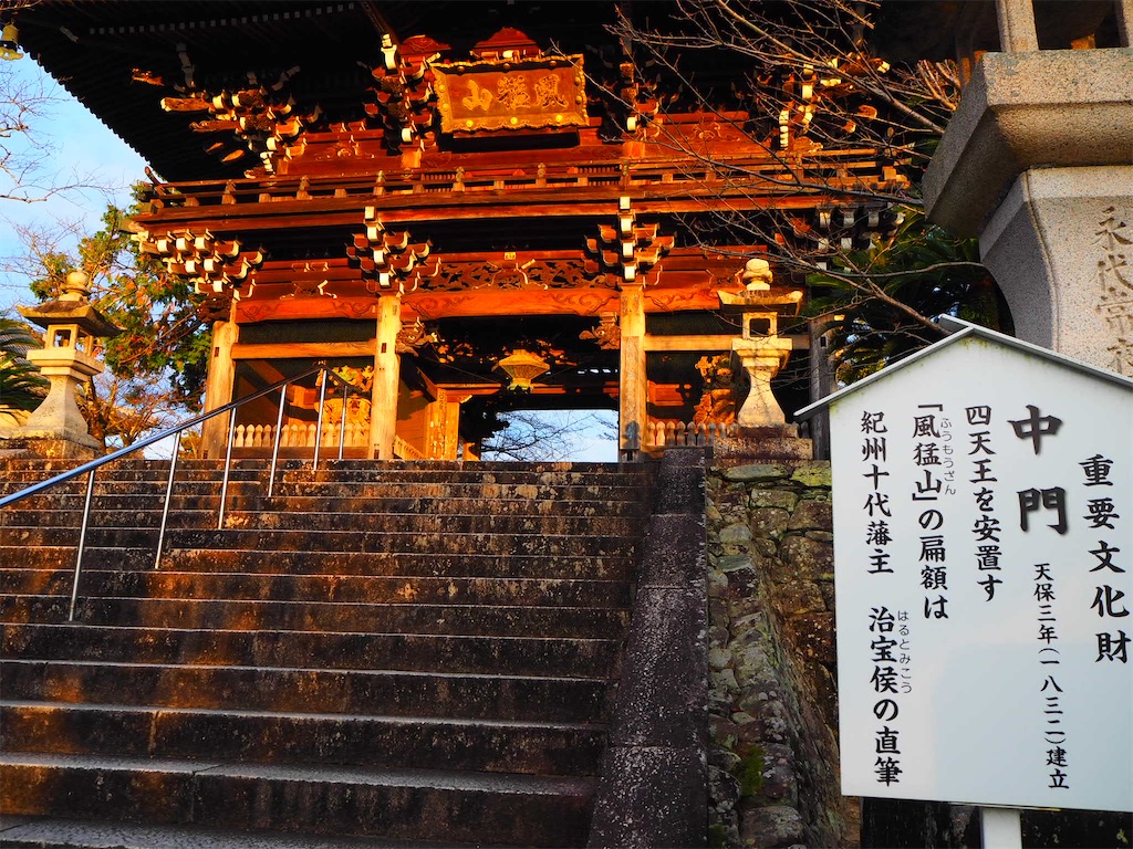 f:id:just_try:20201222121129j:image
