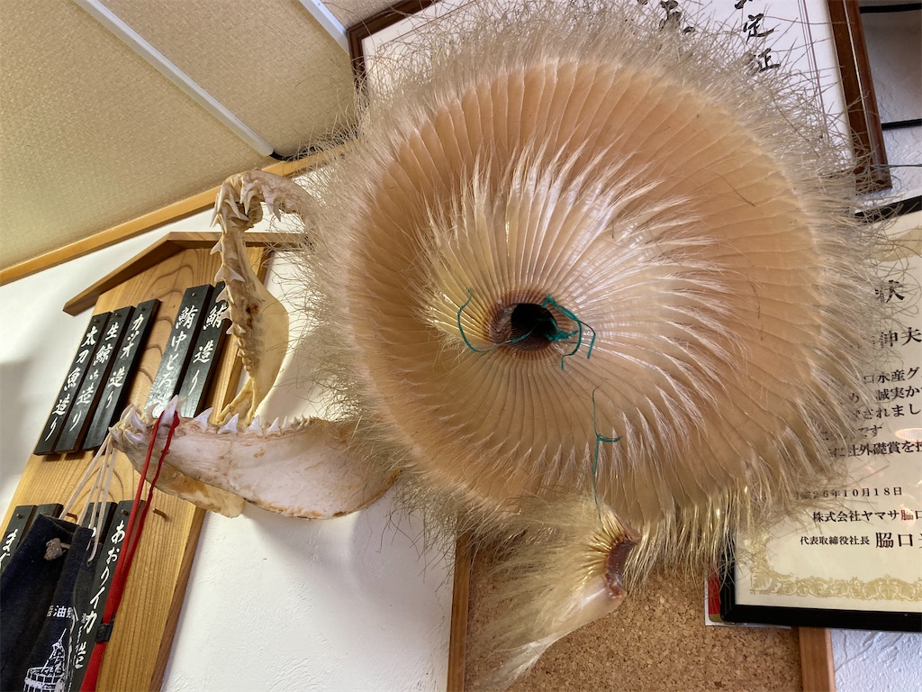 f:id:just_try:20210110125204j:image