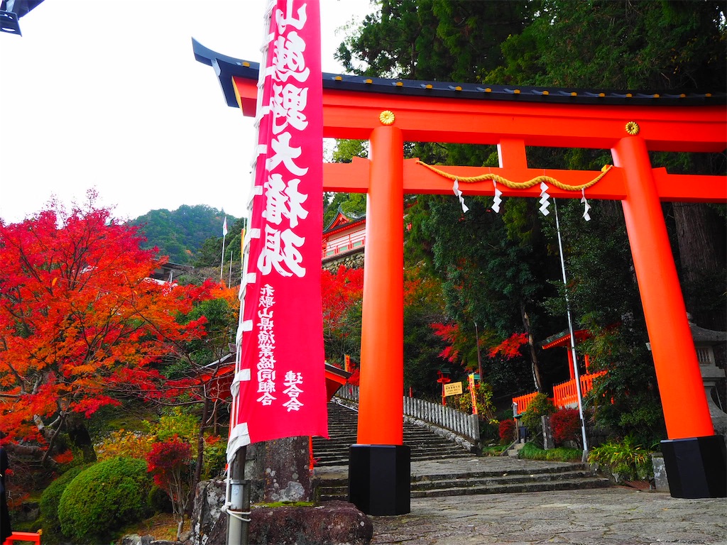 f:id:just_try:20210110130804j:image