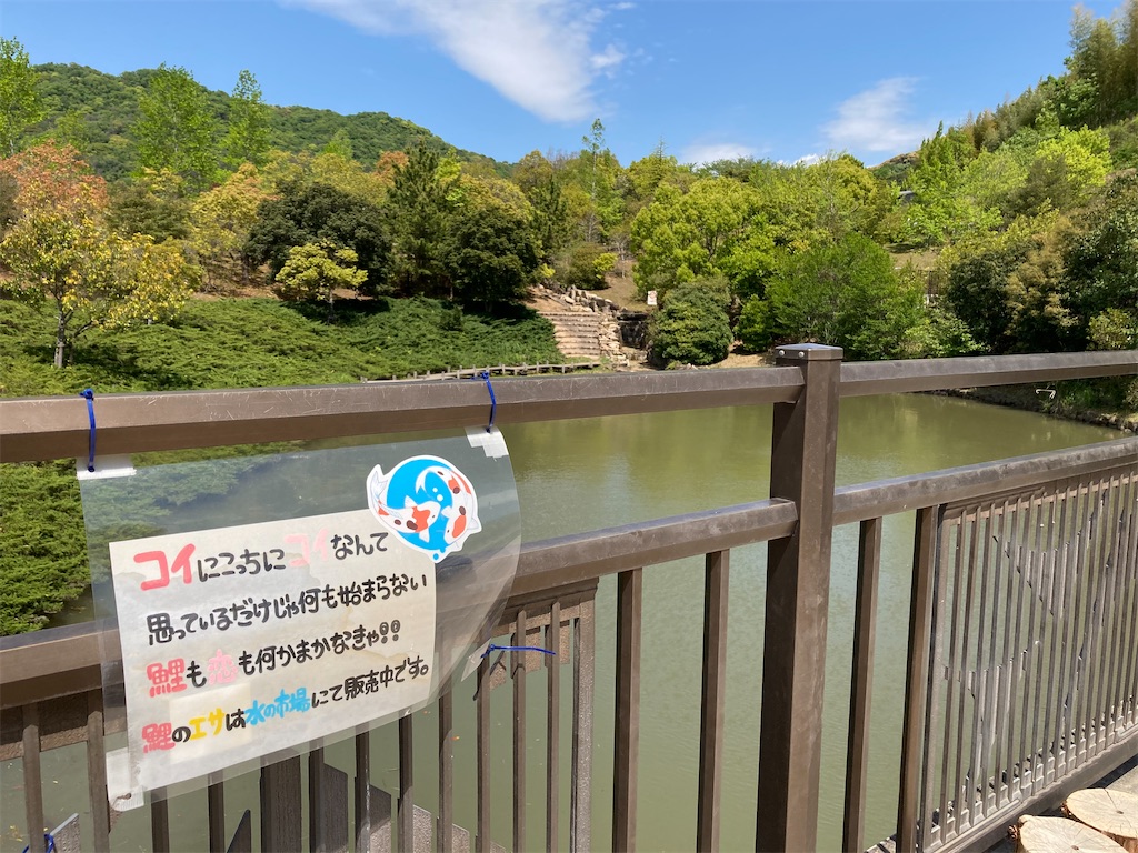 f:id:just_try:20210501145405j:image