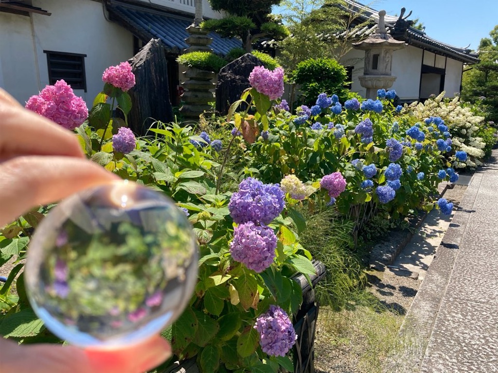 f:id:just_try:20210606093801j:image