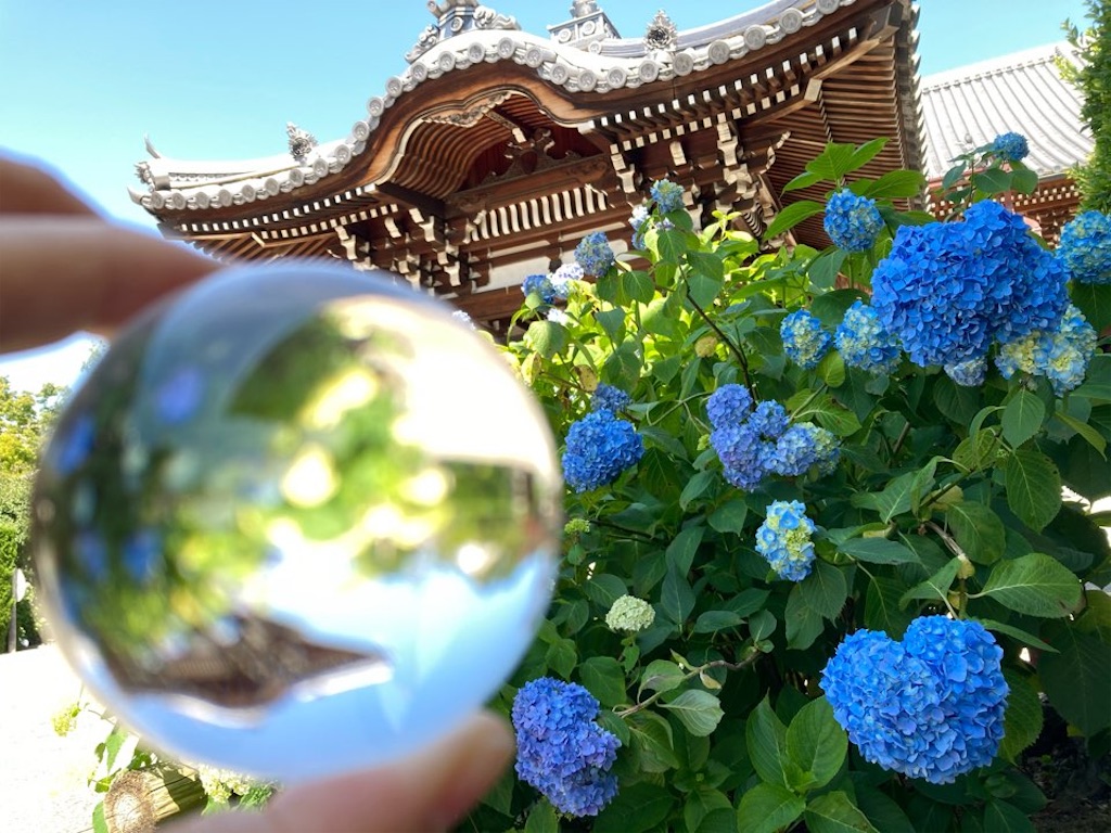 f:id:just_try:20210606093804j:image
