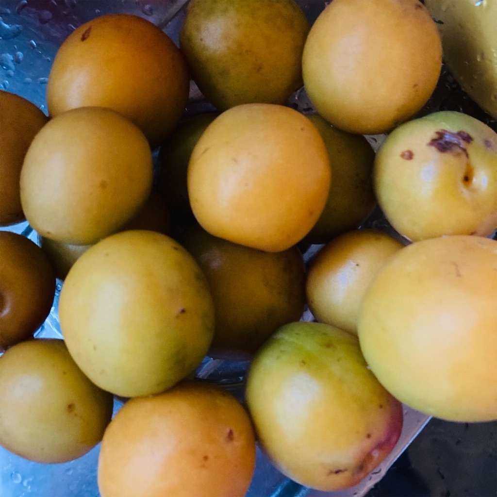 f:id:just_try:20210609192303j:image