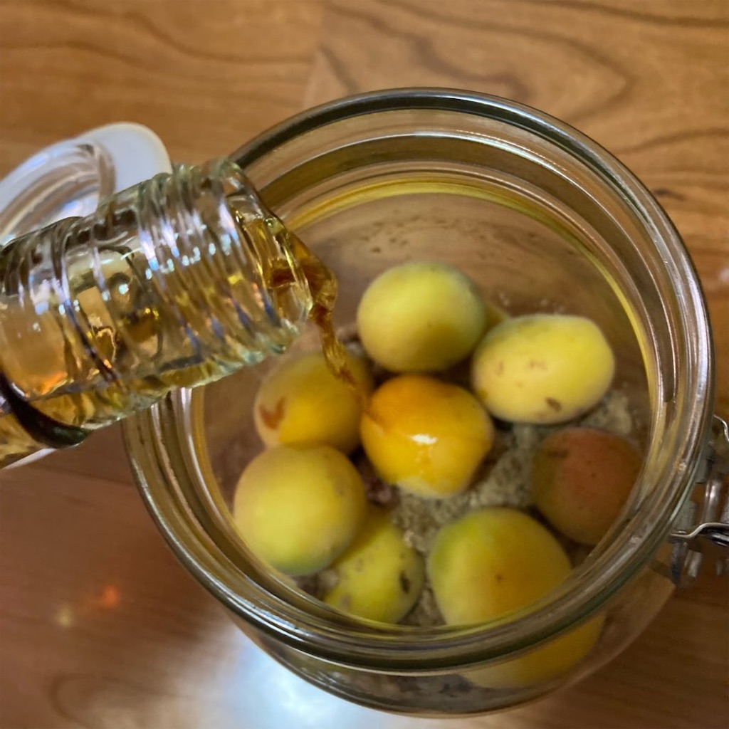 f:id:just_try:20210609192324j:image