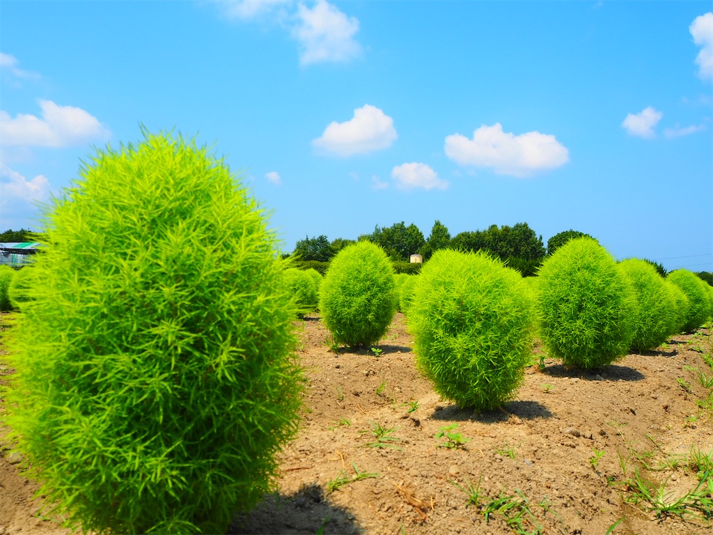 f:id:just_try:20210801155127j:image