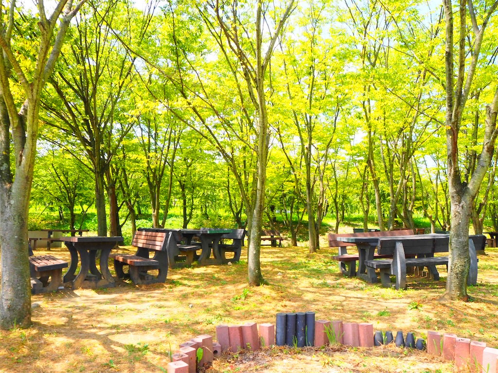 f:id:just_try:20210801155235j:image