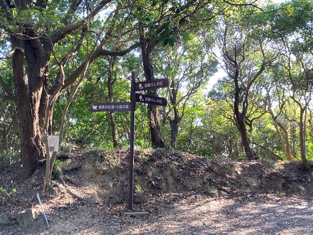 f:id:just_try:20211028183545j:image