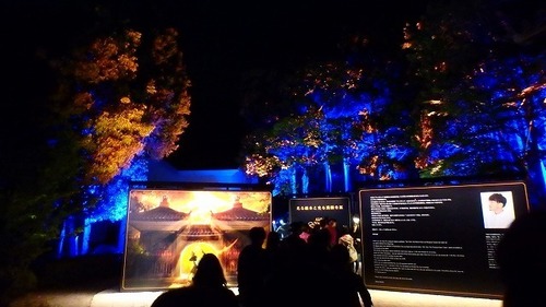 光る絵本展(夜).jpg