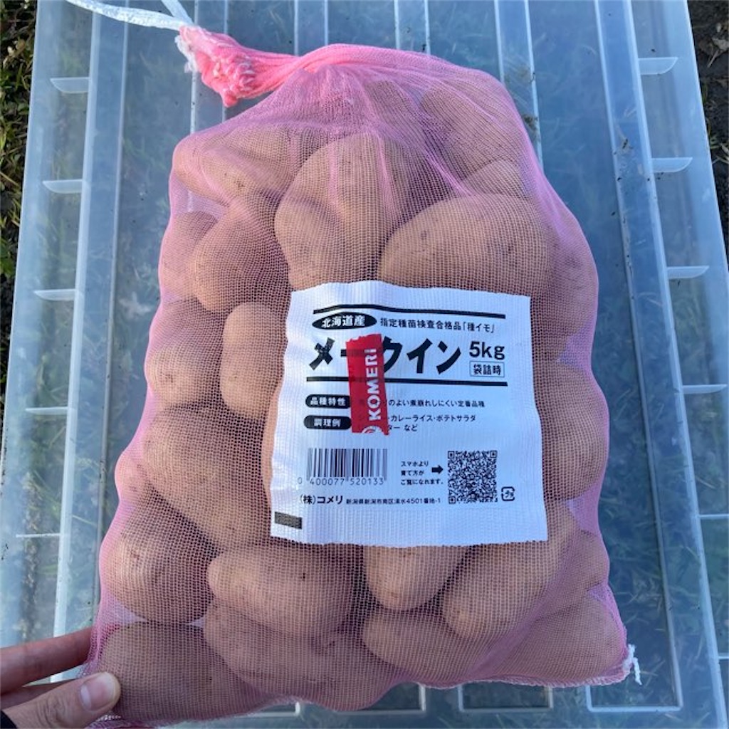 1月下旬】春植えじゃがいもは早めの準備を【芽出し→カット→乾燥