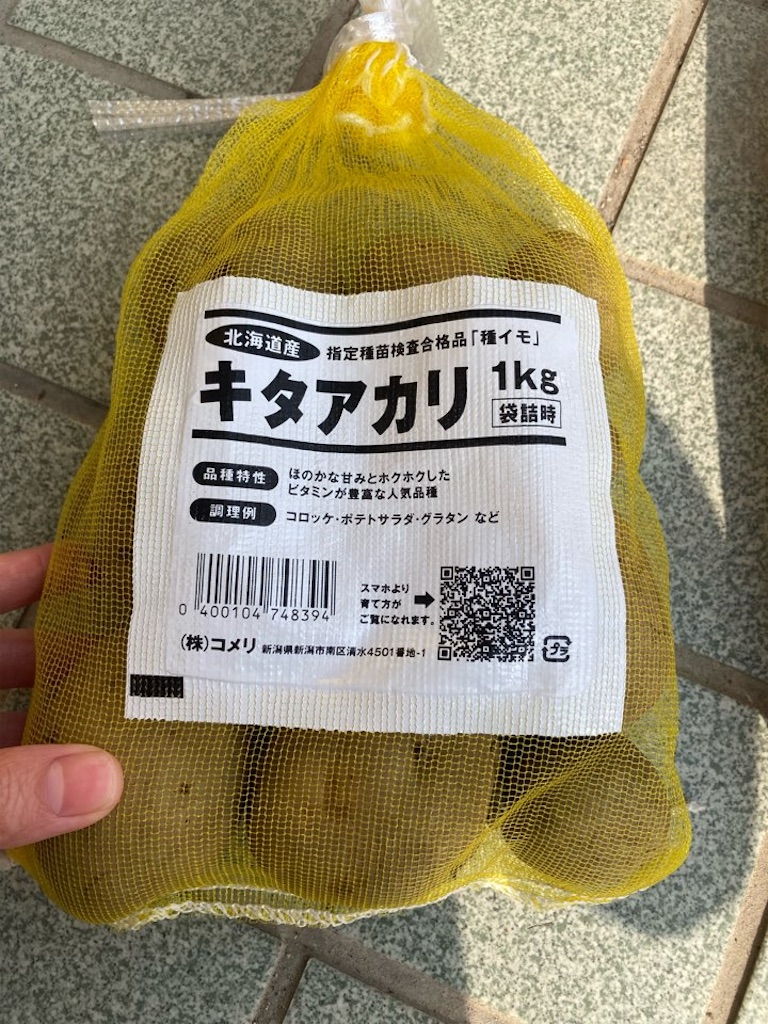 珍しいじゃがいも「キタアカリ」栽培【2022年春】 - 小庭菜園