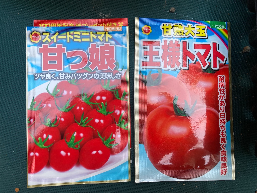 トマトの苗作り セルトレイへ種まきからポットに鉢上げまで 小庭菜園 自然農法でやさい作り