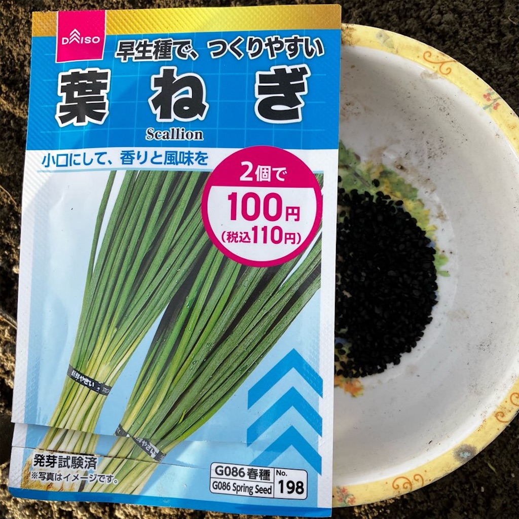 f:id:just_try:20220320183301j:image