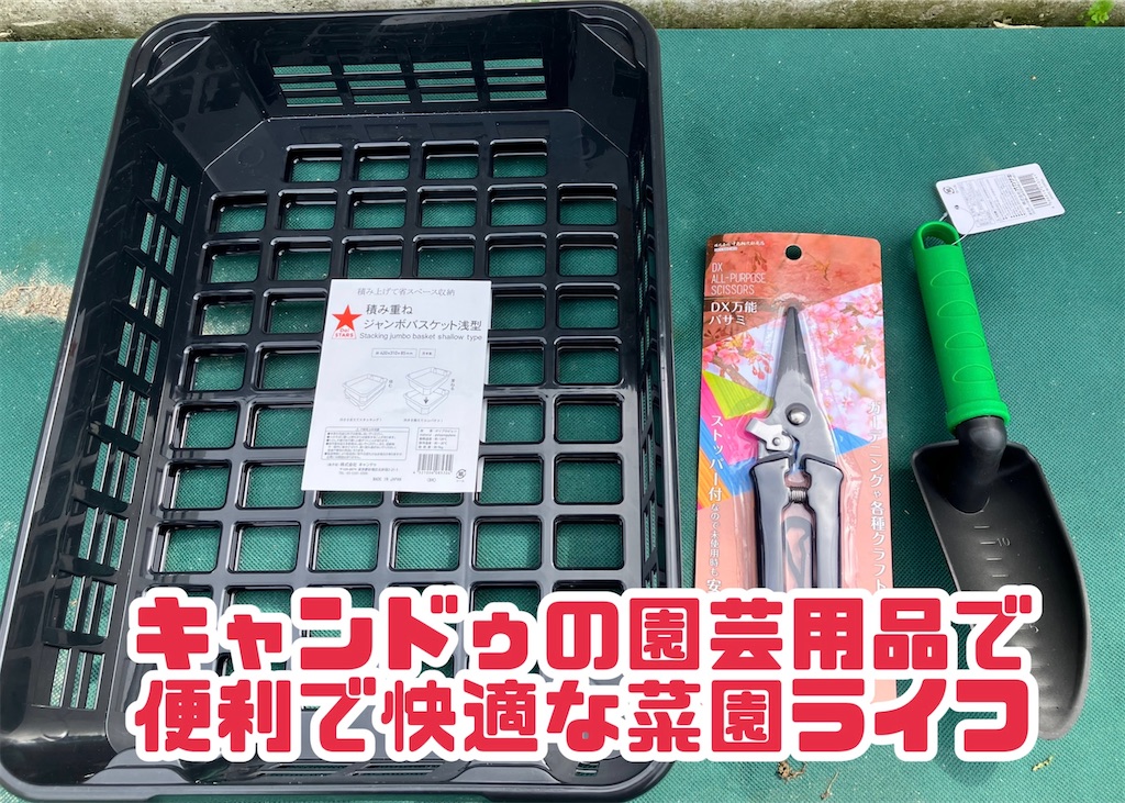 100均】で園芸レベルアップ！キャンドゥで買った園芸グッズ - 小庭菜園