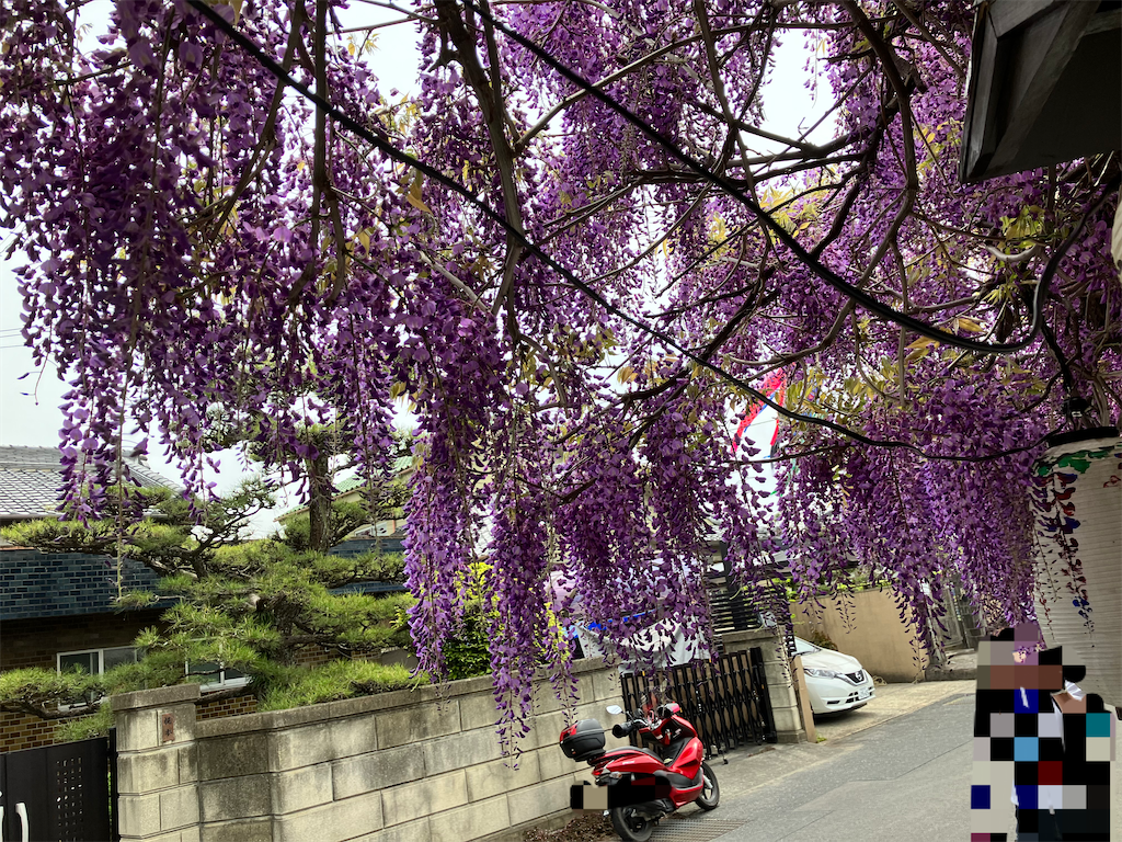 f:id:just_try:20220418151053p:image