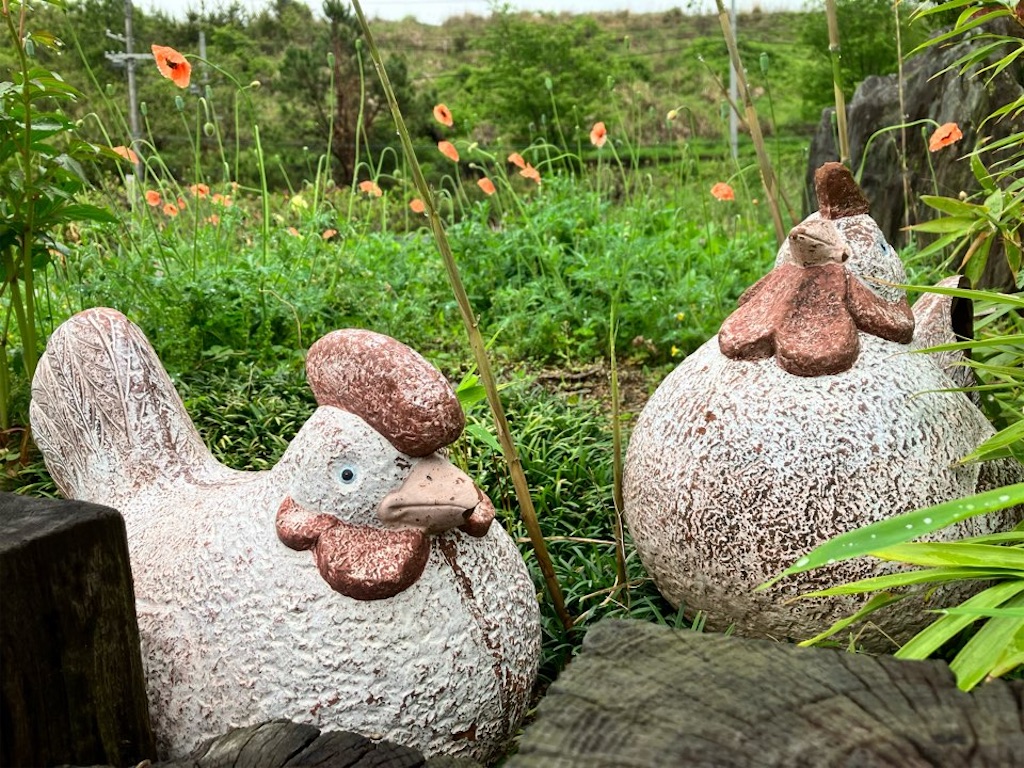 f:id:just_try:20220428192926j:image