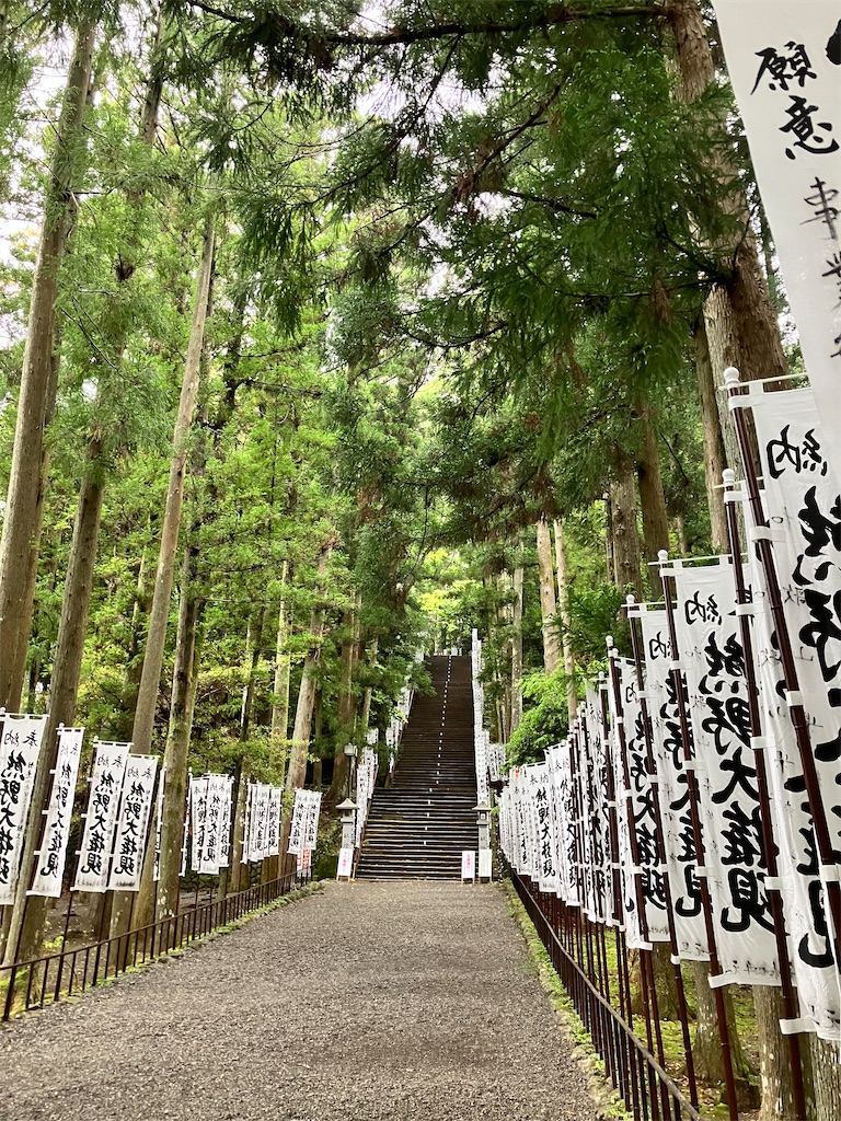 f:id:just_try:20220520164556j:image