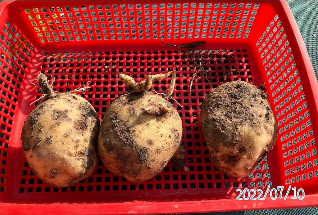 取り除く
