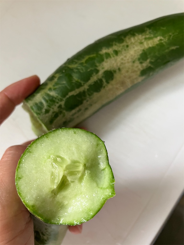 きゅうり の 皮 毒