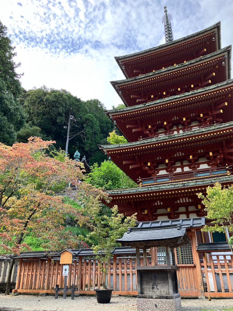 f:id:just_try:20221013223246j:image