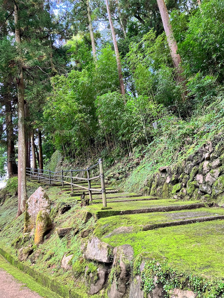 f:id:just_try:20221013223319j:image