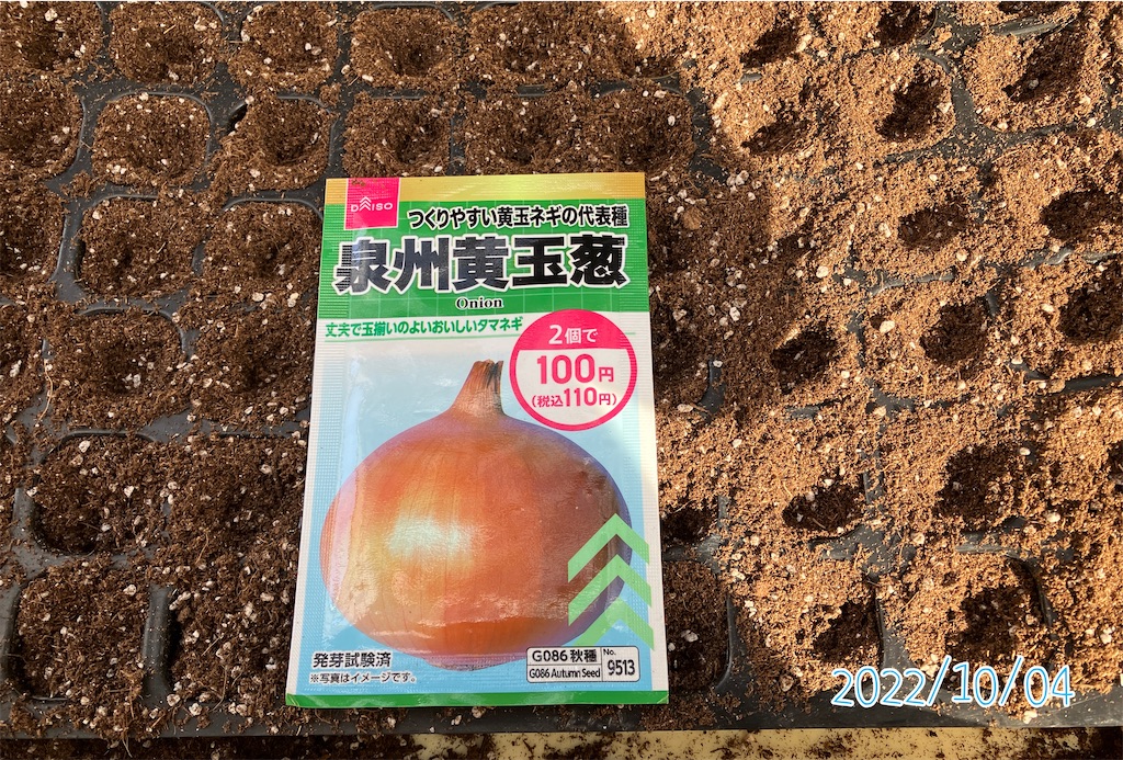 ダイソーのタネ】泉州黄玉葱の定植まで(2022) - 小庭菜園〜自然農法で