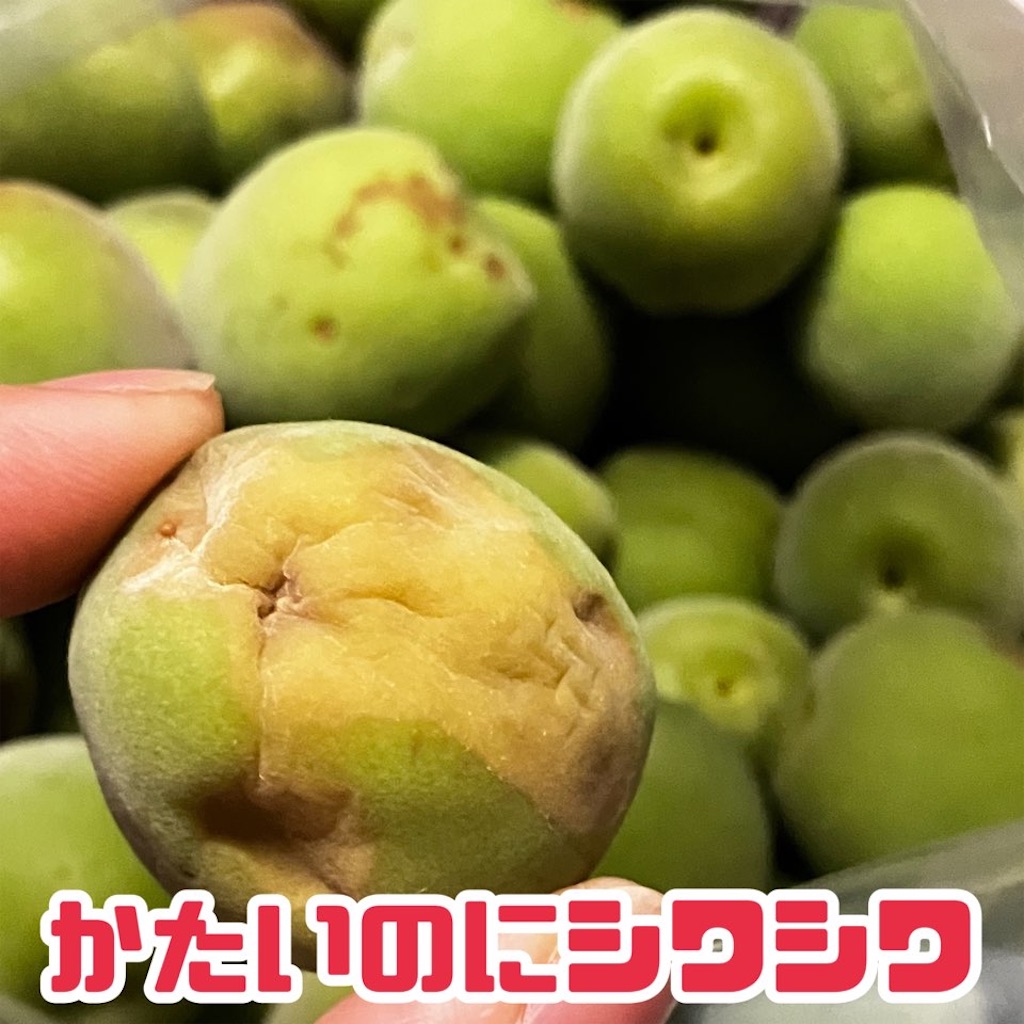 f:id:just_try:20230607131901j:image