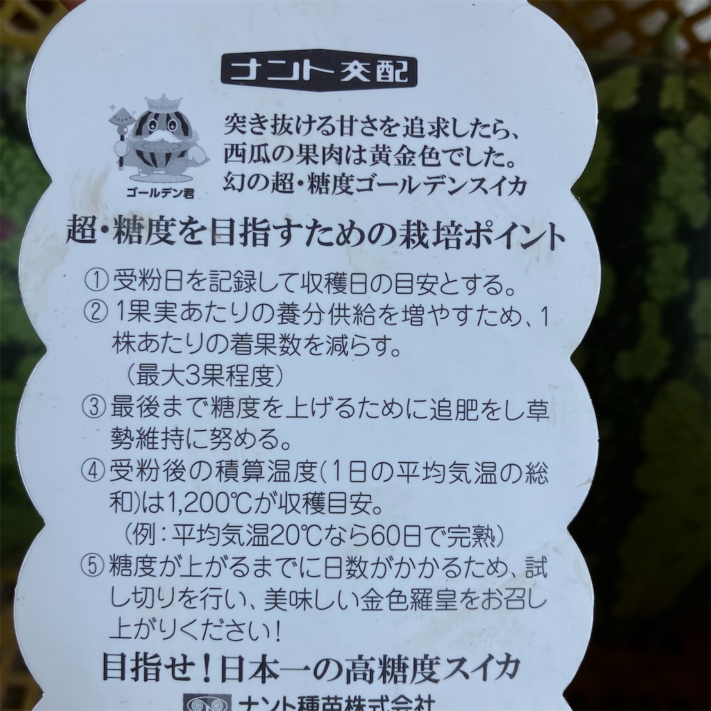 f:id:just_try:20230727174235j:image
