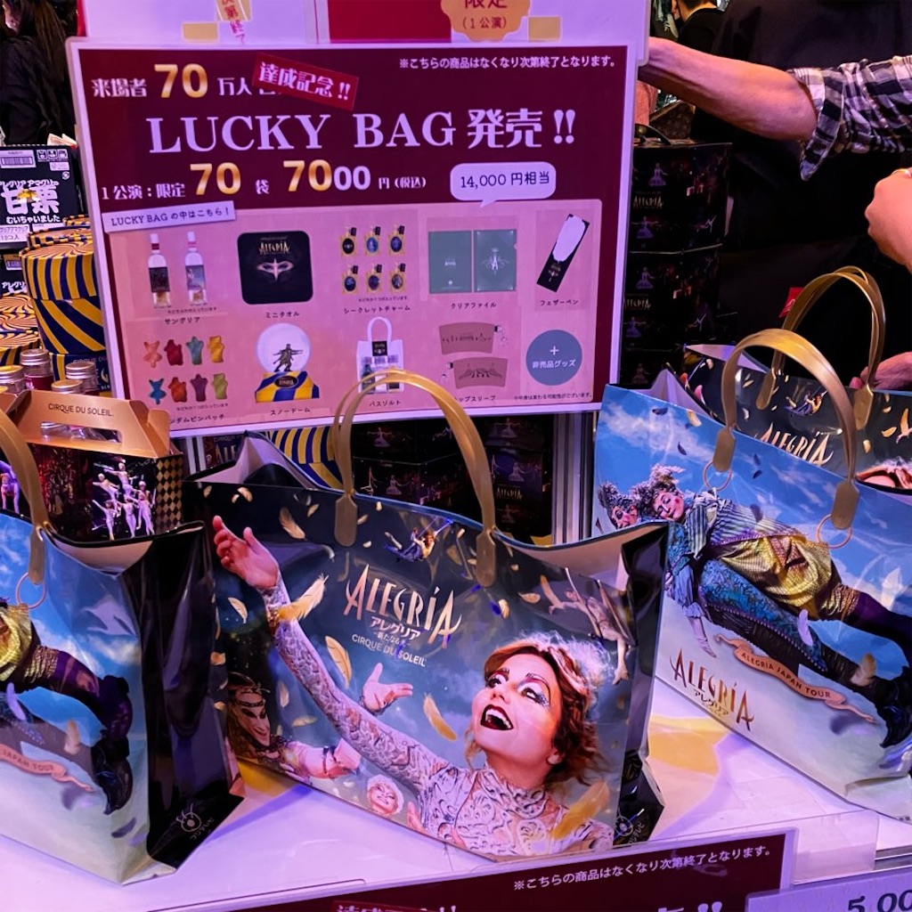 シルクドゥソレイユ「アレグリア」森ノ宮ビックトップへ行ってきました