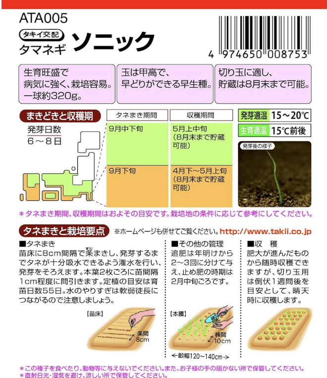 玉ねぎをタネから育苗！セルトレイで楽ちん苗作りする方法 - 小庭菜園