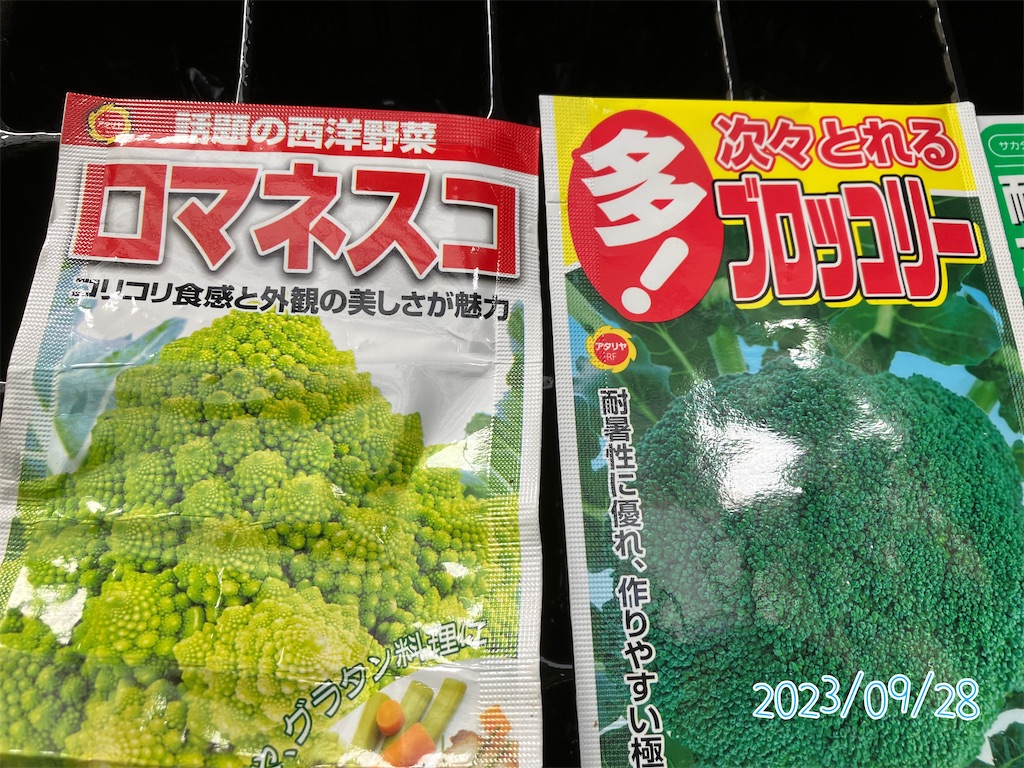 ブロッコリーとロマネスコ栽培！定植記録2023 - 小庭菜園〜自然農法で