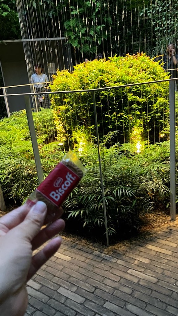 f:id:just_try:20250809200207j:image