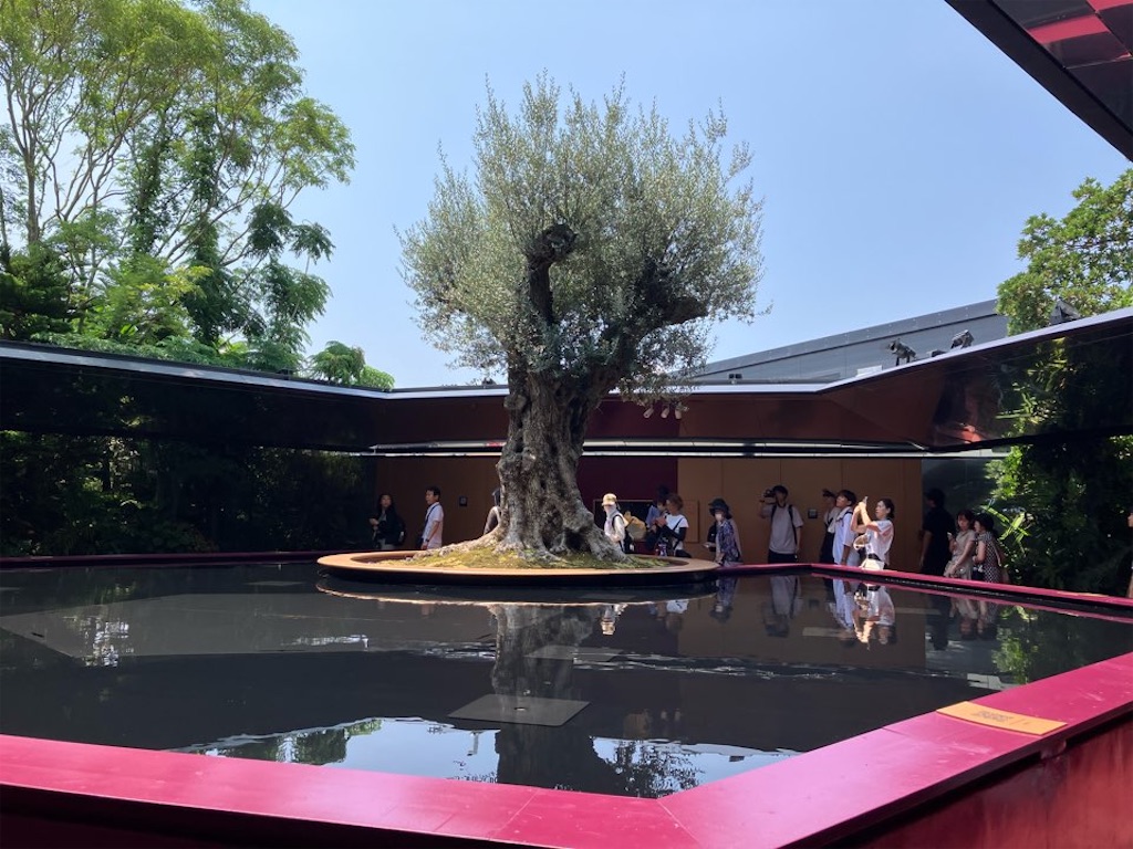 f:id:just_try:20250809200236j:image