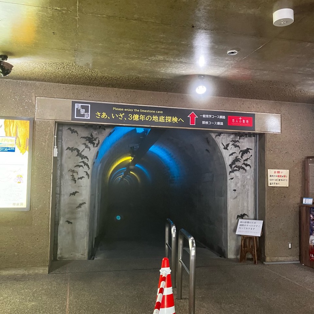 f:id:just_try:20250903164952j:image