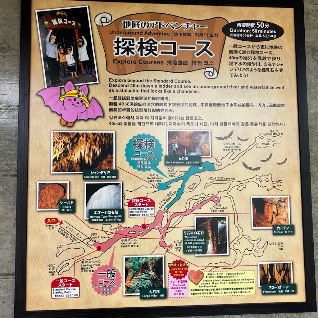 f:id:just_try:20250903165110j:image