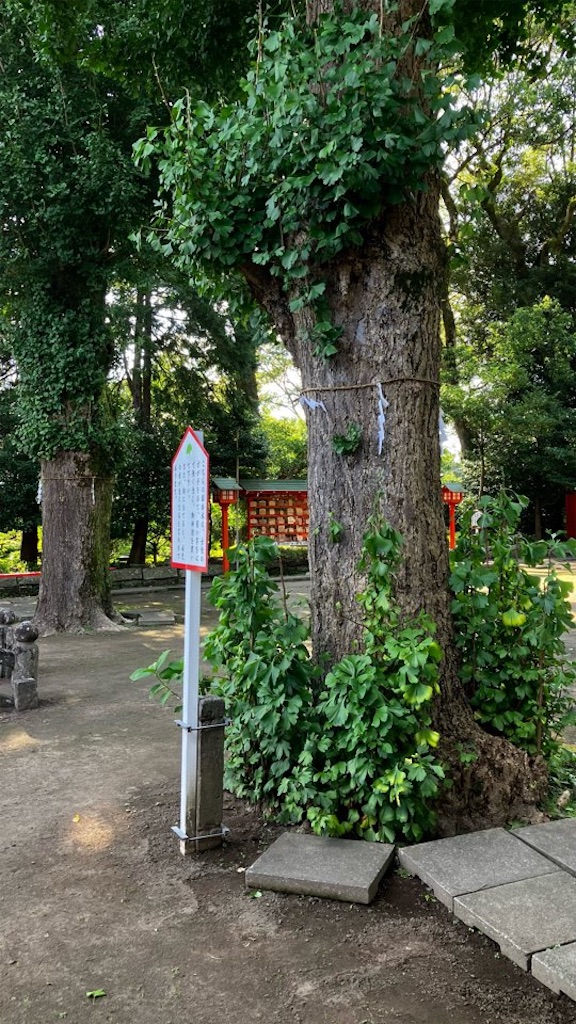 f:id:just_try:20250903165211j:image