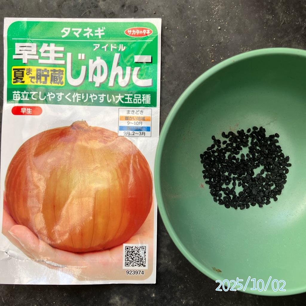 f:id:just_try:20251002115425j:image