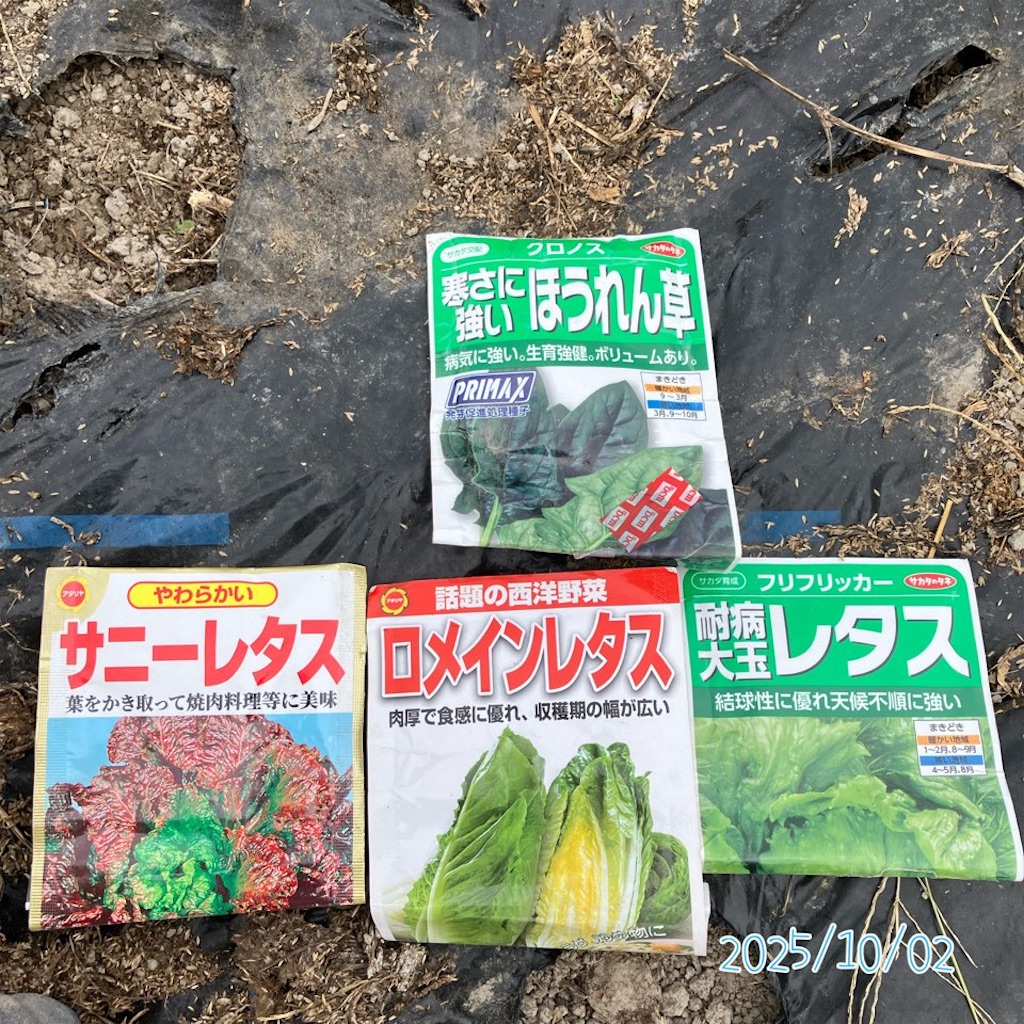 f:id:just_try:20251005223237j:image