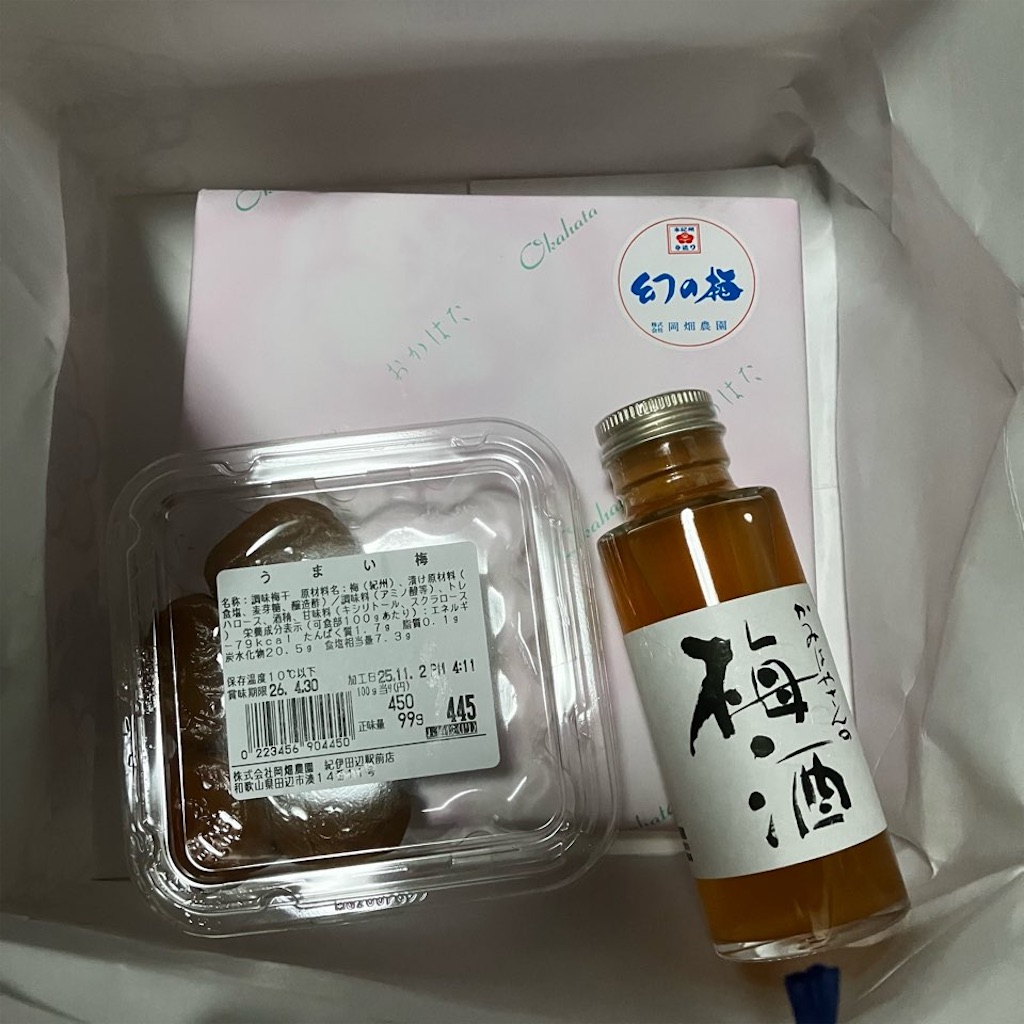 f:id:just_try:20251108132325j:image