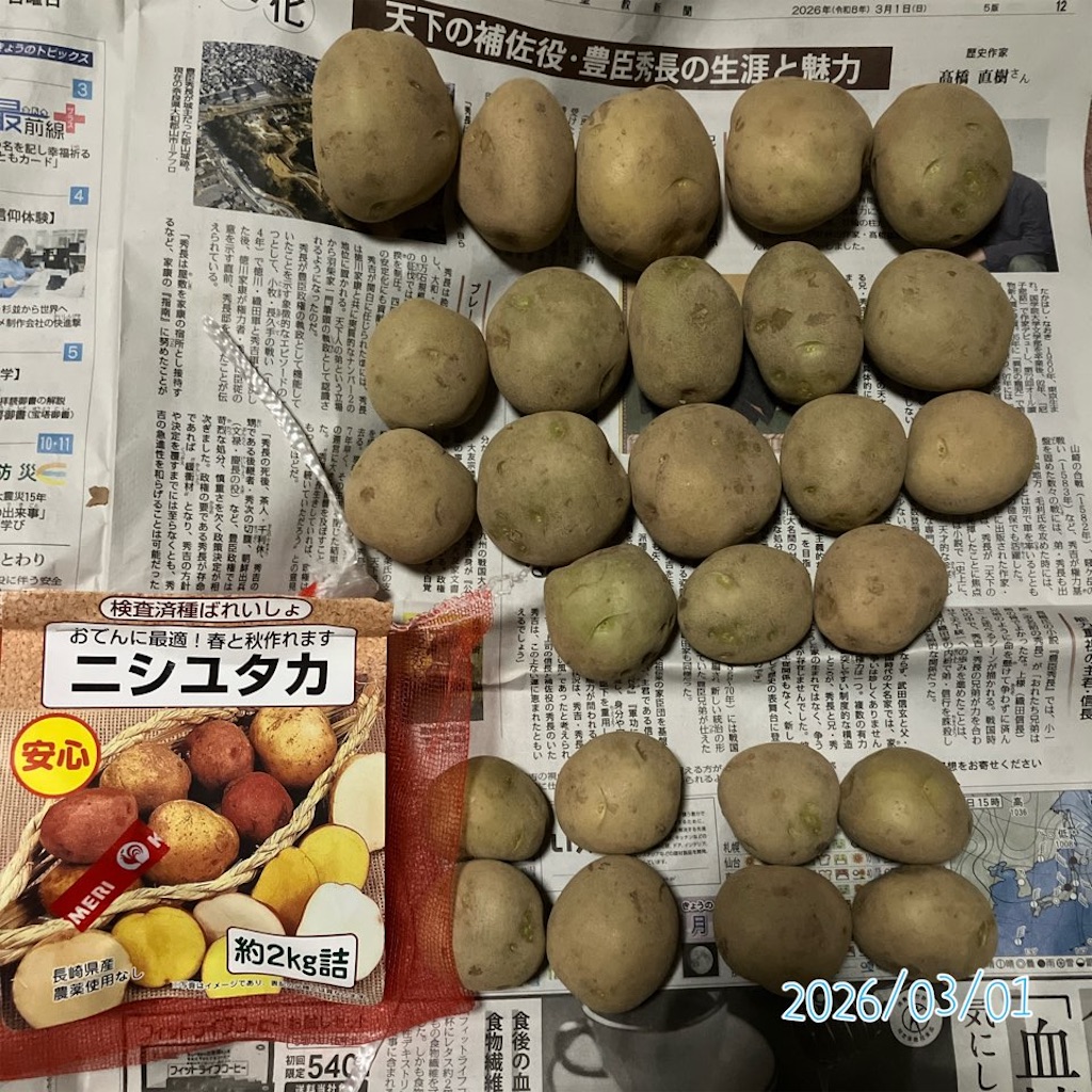 2026年春じゃがいも栽培「ニシユタカ」 - 小庭菜園〜自然農法でやさい作り