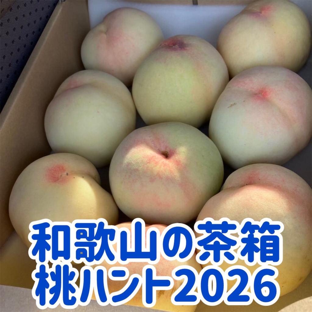 1箱限定　即発送　あらかわの桃　和歌山 6月21日収穫分　中玉15玉　茶箱 和歌山】あらかわの桃を求めて！茶箱ハント2026 - ✳︎SweeTouring✳︎