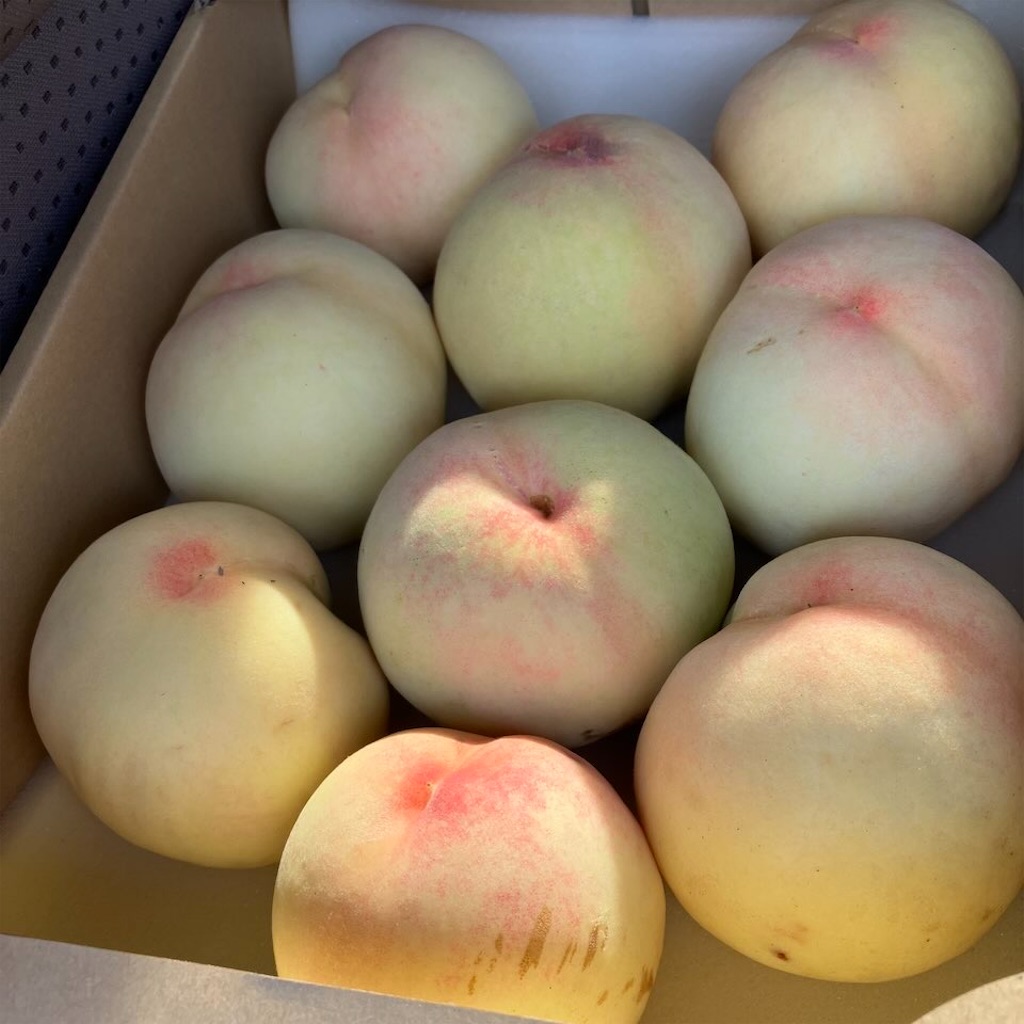 和歌山】あらかわの桃を求めて！茶箱ハント2026 - ✳︎SweeTouring✳︎