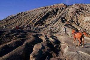 Paket Wisata Bromo Malang 2 Hari 1 Malam Just Share Diary Paket Wisata Bromo Malang 2 Hari 1 Malam Just Share Diary