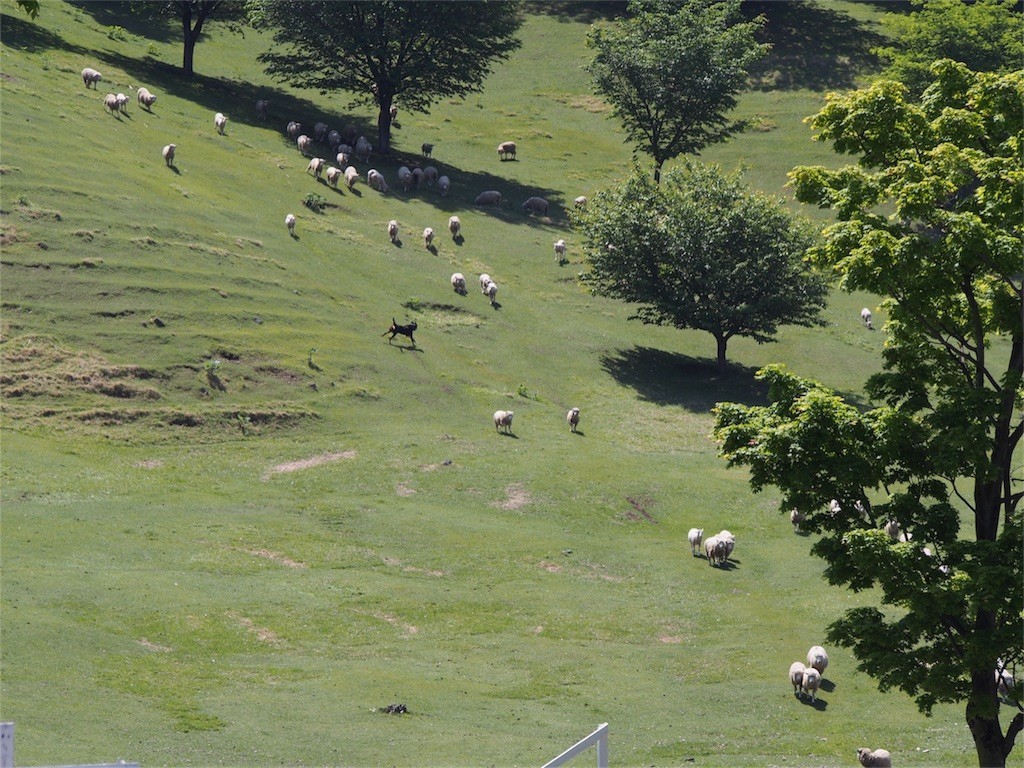 f:id:justsize:20170604221429j:image