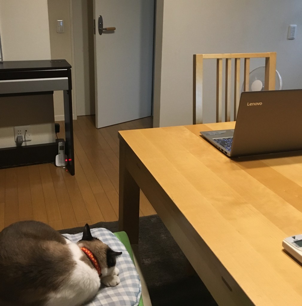 f:id:justsize:20180812071911j:plain