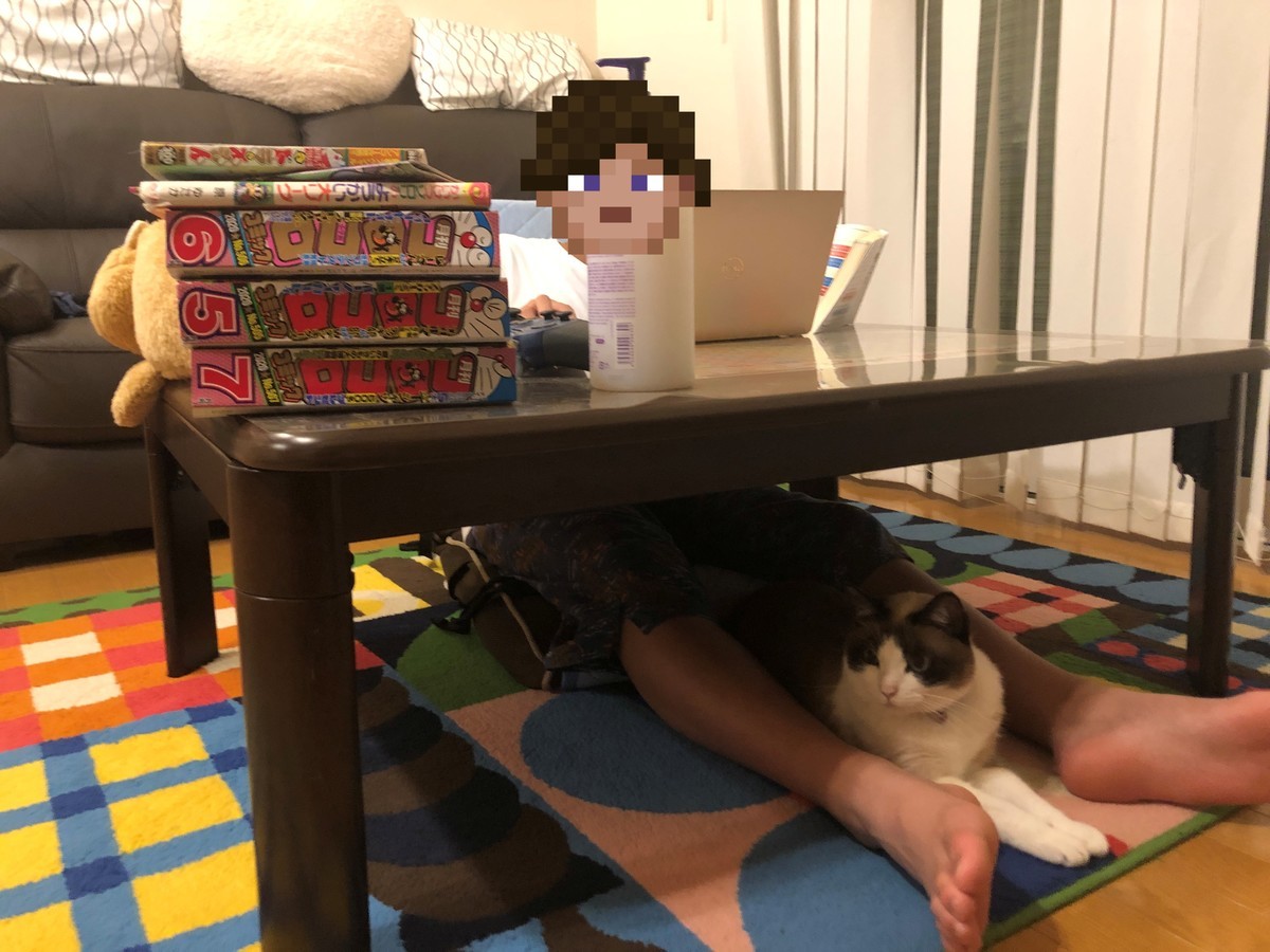 f:id:justsize:20200705231631j:plain