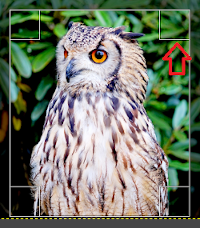 f:id:juu7g:20210527101534p:plain:w200:right