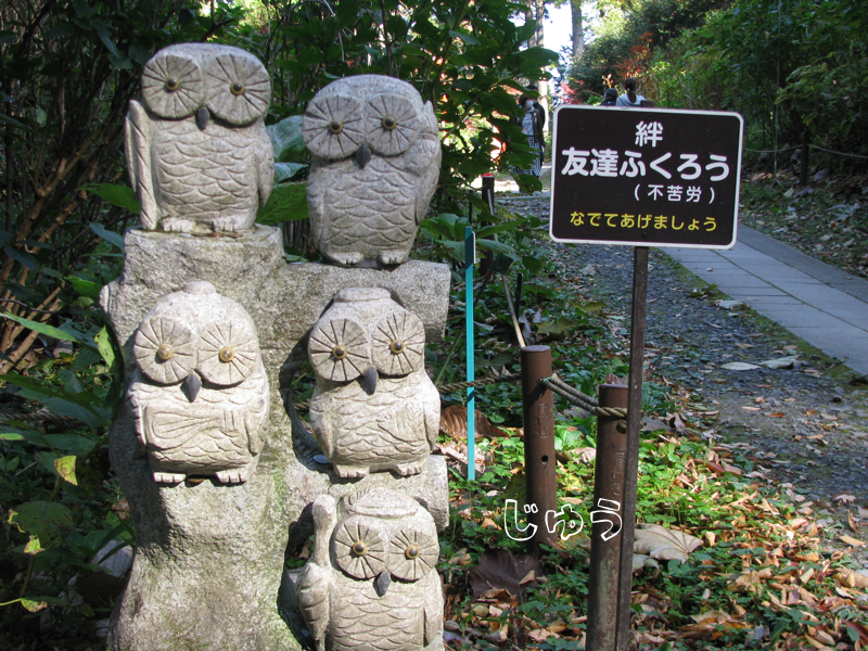 ふくろう神社のフクロウと紅葉 - プログラムでおかえしできるかな