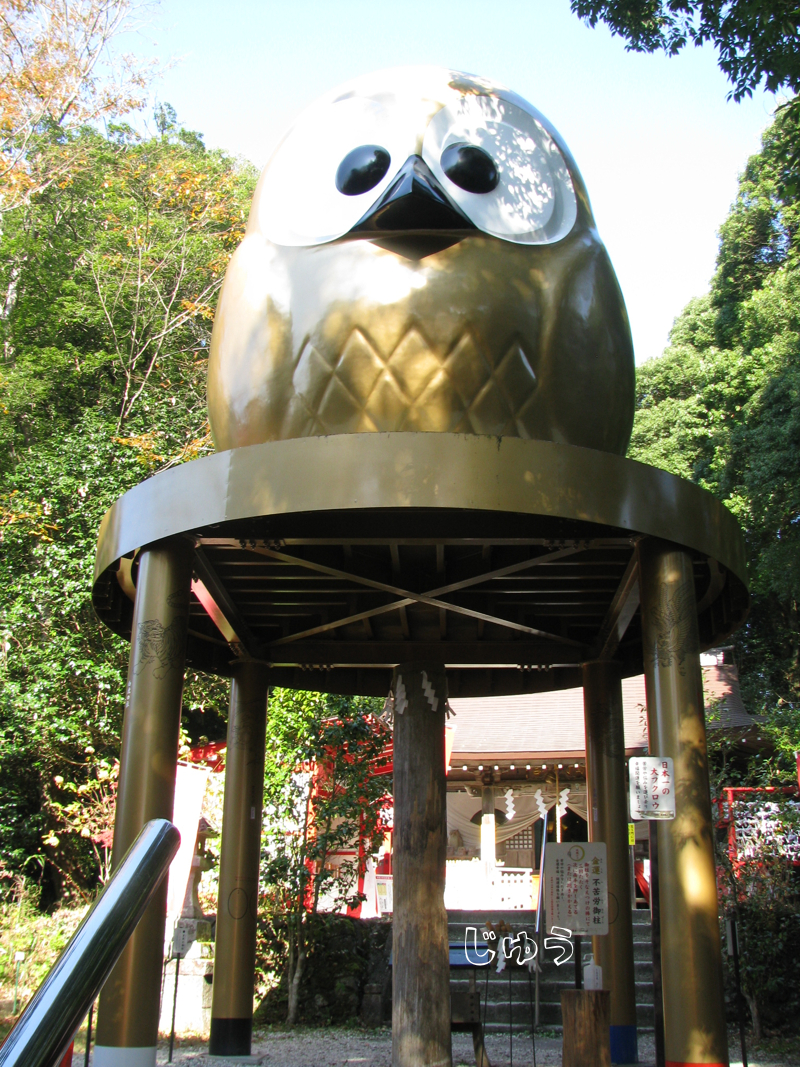 ふくろう神社！ ふくろう神社のフクロウと紅葉 - プログラムでおかえしできるかな