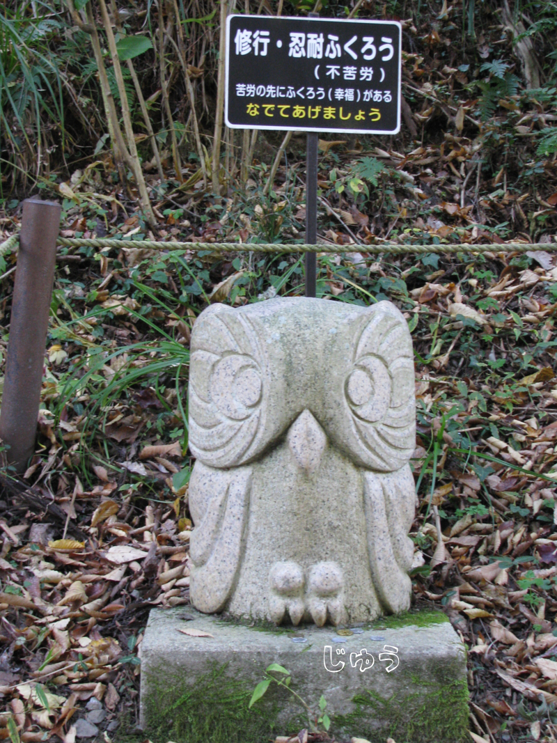 ふくろう神社のフクロウと紅葉 - プログラムでおかえしできるかな