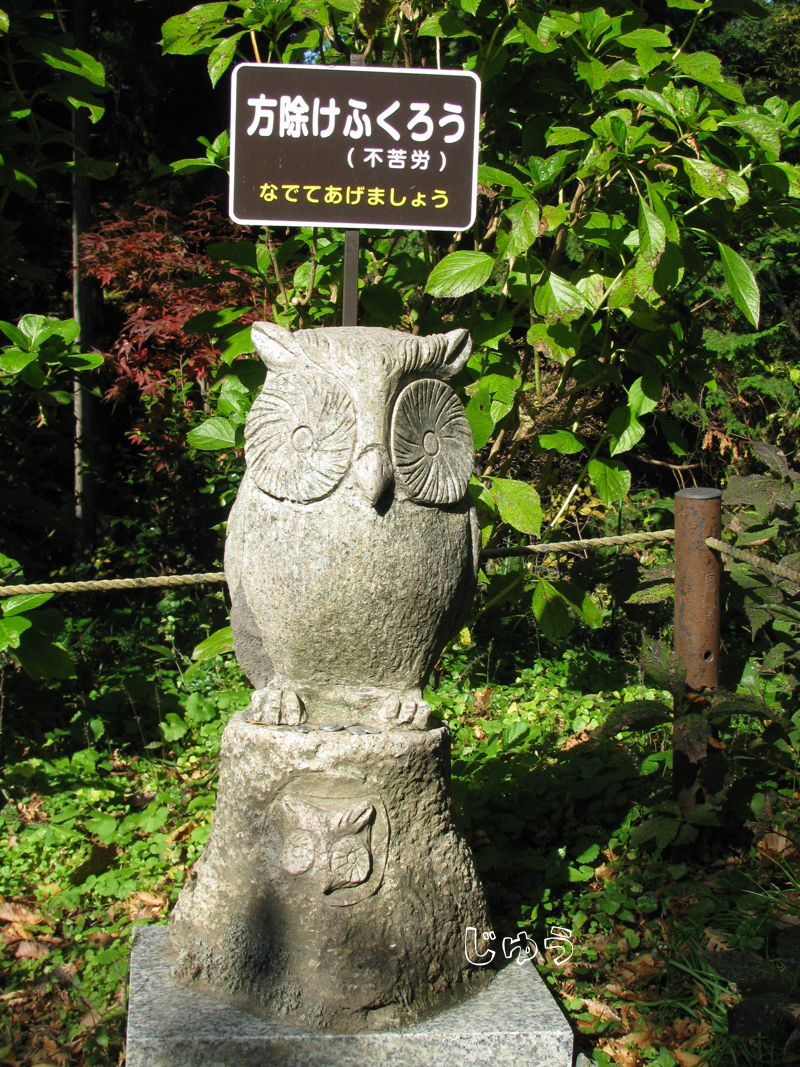 ふくろう神社のフクロウと紅葉 - プログラムでおかえしできるかな